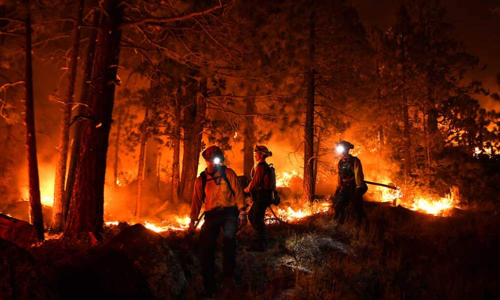 Wildfires and Real Estate in Fire-Prone Regions - Streetcurrencies